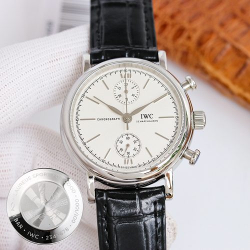 IW watch