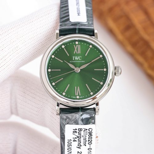 IW watch
