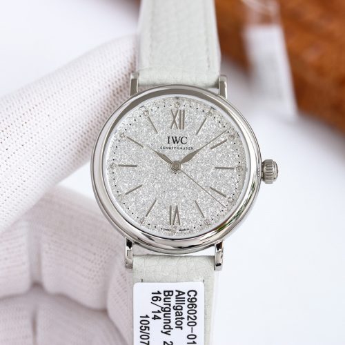 IW watch