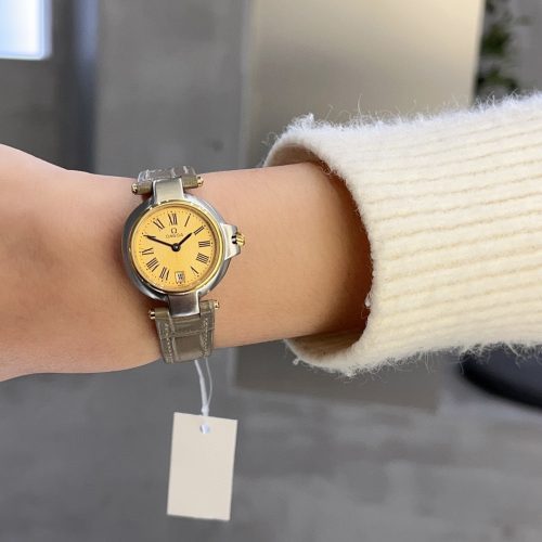 OME watch
