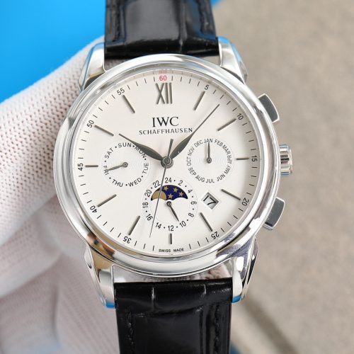 IW watch
