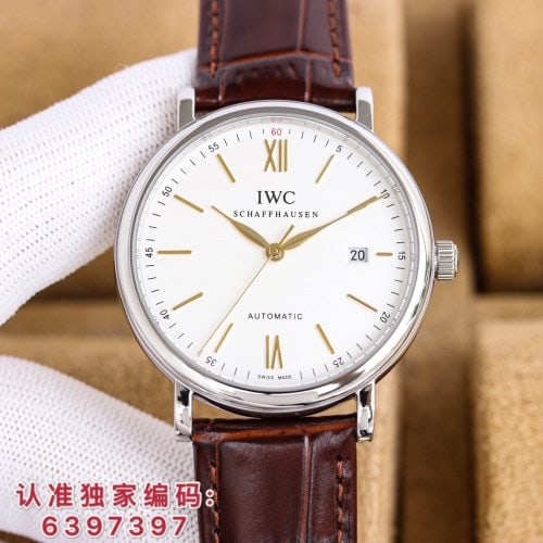 IW watch