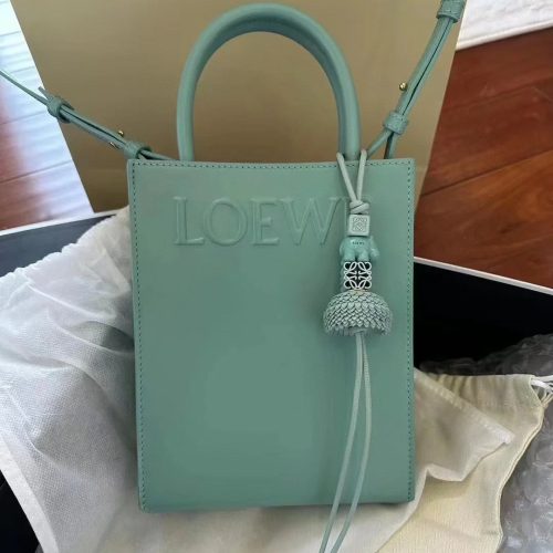 LLoewe handbag
