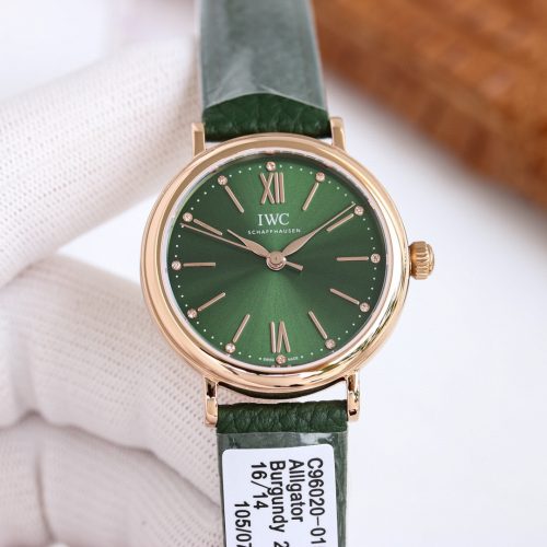 IW watch