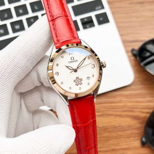 OME watch