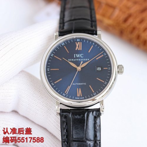 IW watch