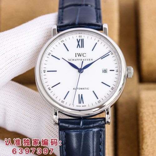 IW watch
