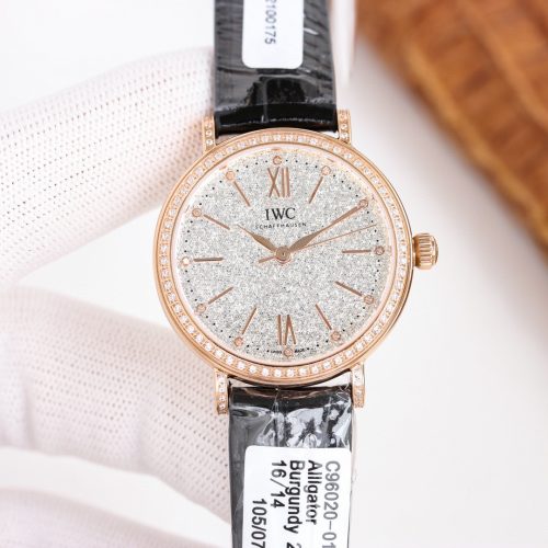 IW watch