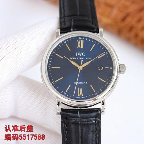 IW watch