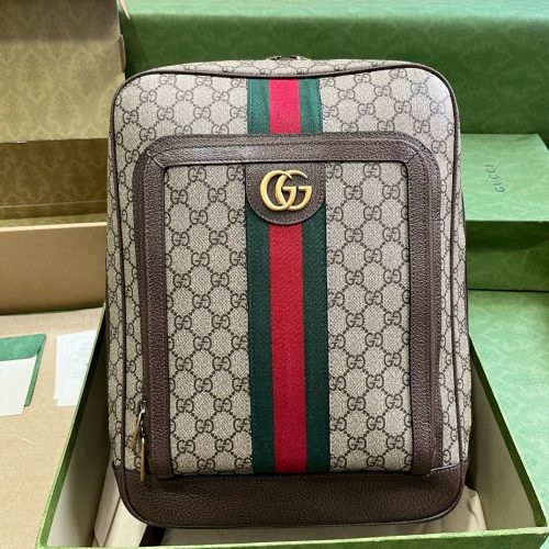 Ophidia series medium GG backpack